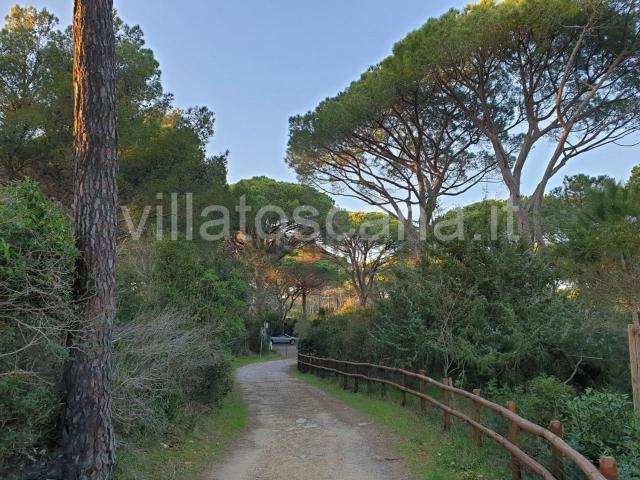Case e ville in vendita di 378 m²