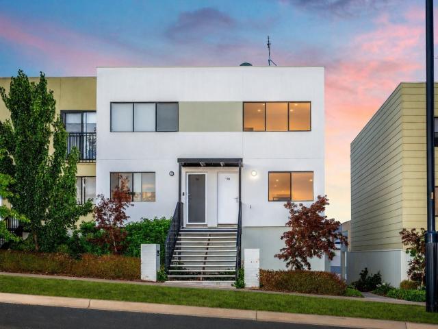 Casey, 50 Whitrod Avenue