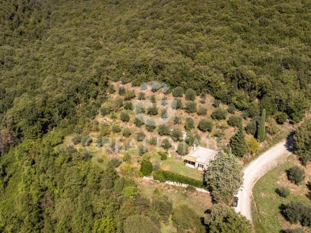 Casina degli Ulivi 73m² Tuoro sul Trasimeno