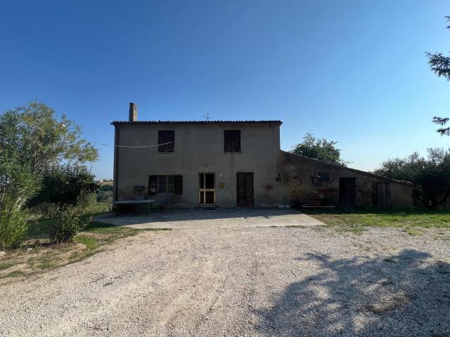 Casolare con 5 ettari di terreno e 120 ulivi 200m² Mombaroccio