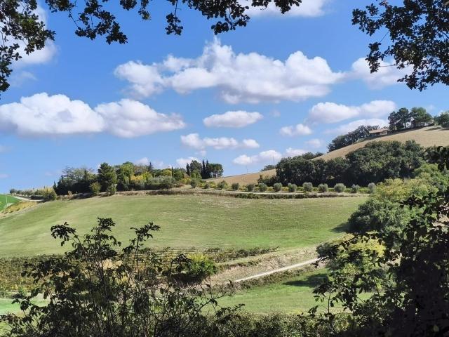 Casolare con giardino e vista panoramica 250m² Isola del Piano