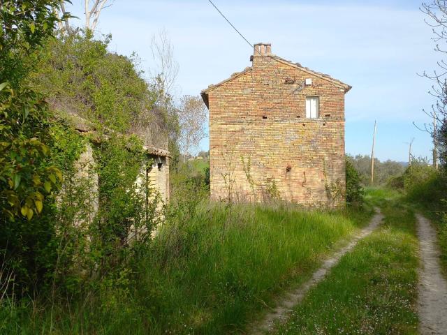Casolare e Terreno in vendita a Montottone