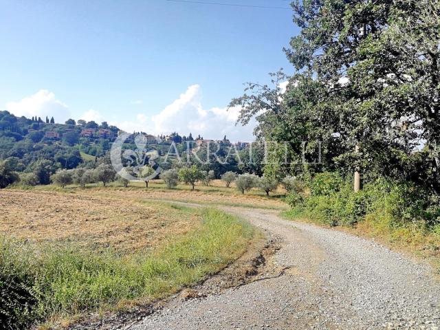 Casolare rustico situato nel comune di San Casciano dei Bagn. 400m² San Casciano dei Bagni
