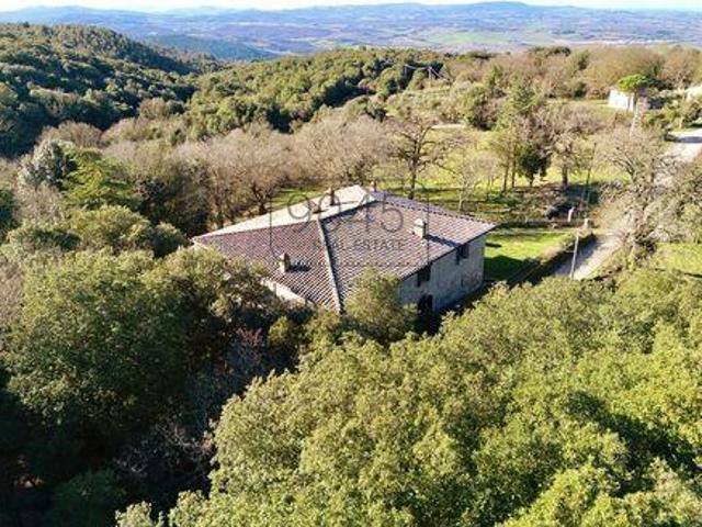 Casole d'Elsa ToscanaTuscany 53031 100131450