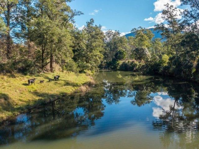 CATTLE ~ LIFESTYLE ~ RIVER ~ ECO TOURISM