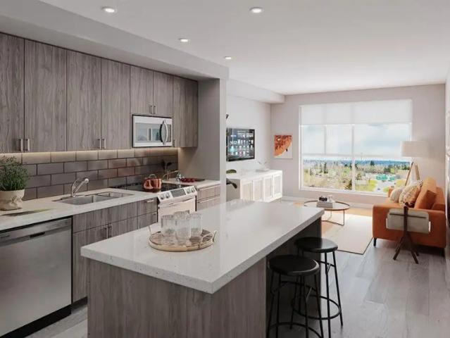 Catalyst Luxury Residences — cobalt