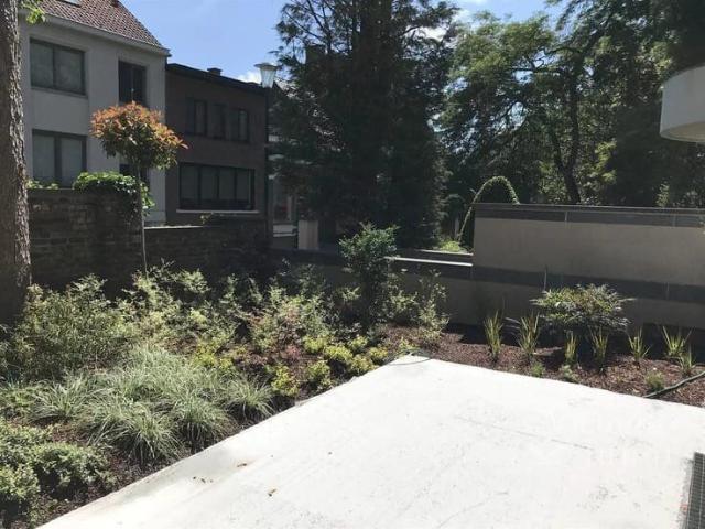 Cavell Neighborhood: beautiful 3 bedroom apartment bathroo