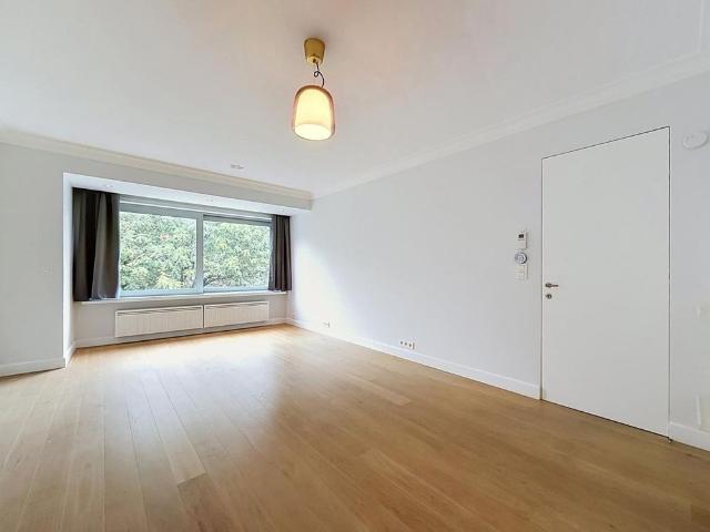 Cavell/Montjoie: Beautiful studio