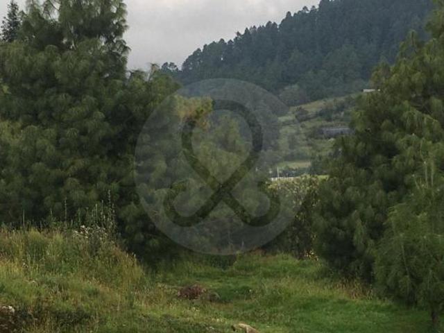 Cañada de Alferez: Casa en venta en Cañada de Alférez