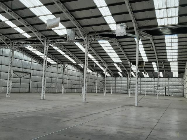Cañaveral Cerro San Luis/Panamericana Norte Quilicura, Quilicura
