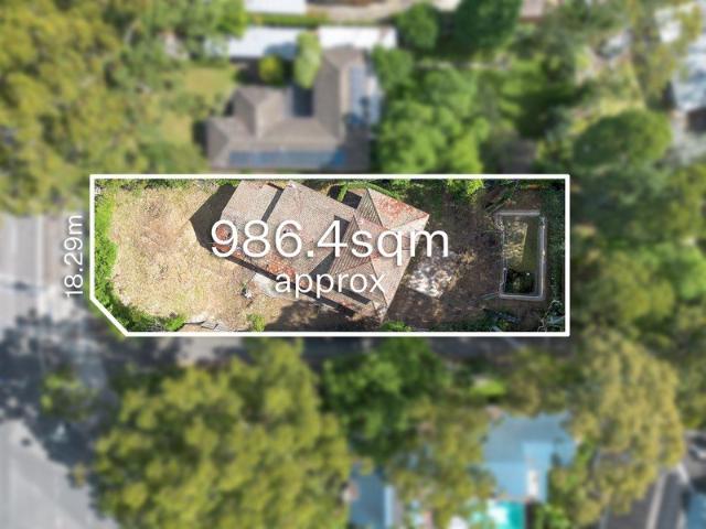 CDC and CC Approved New Home on Expansive Sunny Block