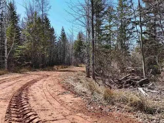 Centerline Road, St. Lawrence, PE, C0B 1K0 vacant land for s.
