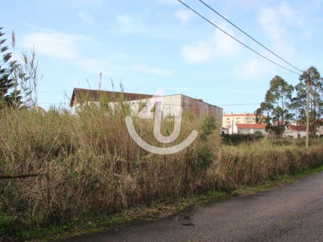 Terreno no Centro da Benedita com Estudo para 20 Fogos Oportunidade Única!