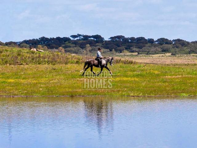 Centro Equestre, localizado diretamente no lago com Casa de Campo T3 e Vista para o Lago, perto de Ourique