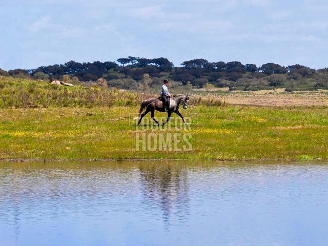 Centro Equestre, localizado diretamente no lago com Casa de. 420m² Ourique