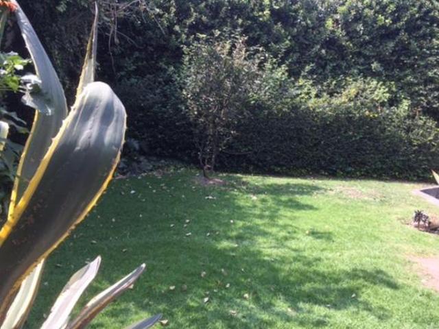 Centro Tlalpan – Oportunidad Venta Terreno $21,500,000 – cel. 5554558642