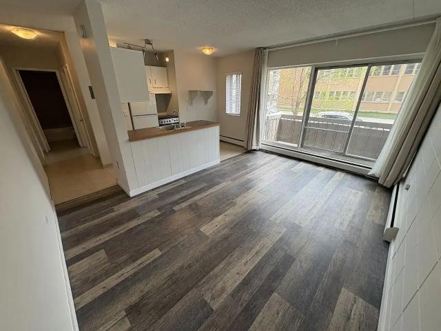 CENTRAL MISSION 1 BEDROOM SUITE — 1 Bedroom Apartment