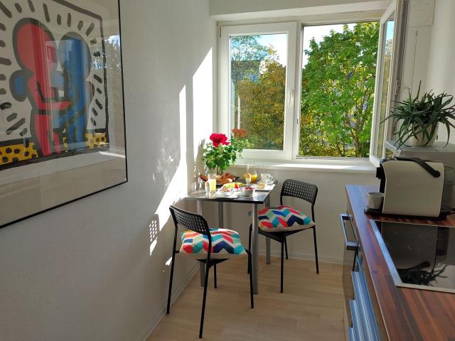 Central, modern, quiet, sunny flat in Mitte/Gesundbrunnen U8, U9, S1, S25, S85, Berlin Amsterdam Apartments for Rent
