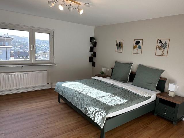 Central, Above the Rooftops of the City, Stuttgart Amsterdam Apartments for Rent