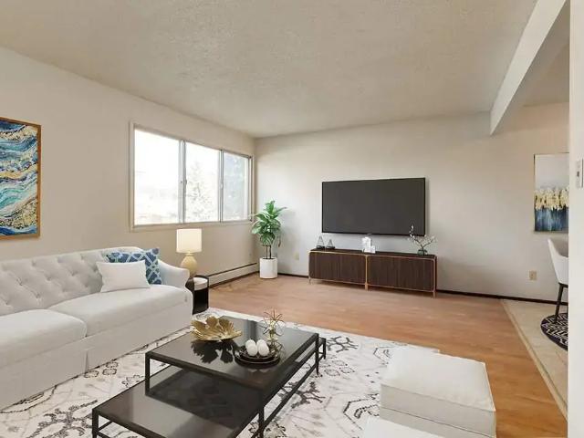 Central Apartments Bachelor [object Promise] for Rent