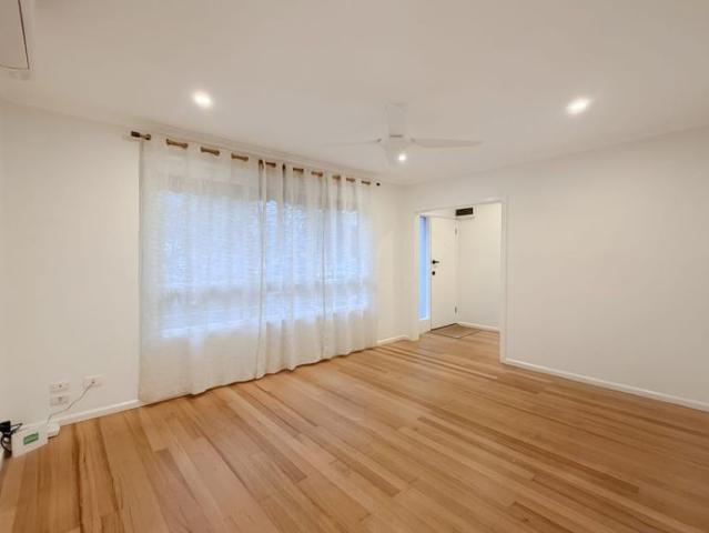 Central Heidelberg. Simple Living Done Right!