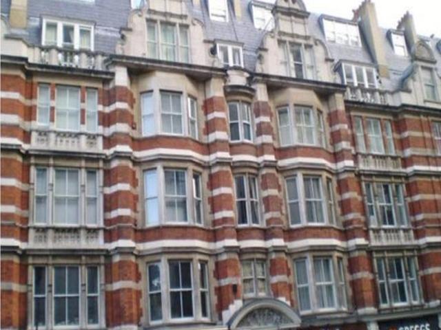 Central London Flat to let