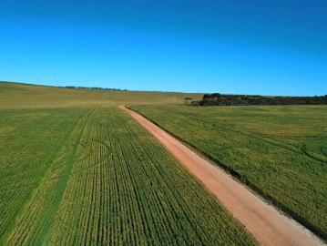 Warradarge, Peak Island, Western Australia