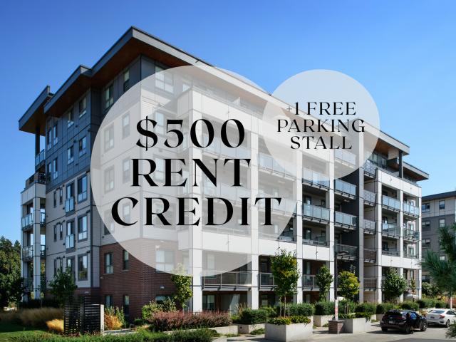 Central Park Village Park Suites 2 Bedroom Apartment for Rent