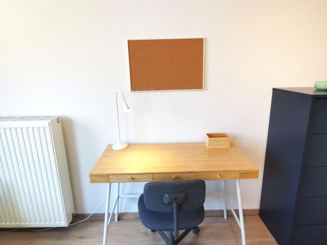 Central renovated and fully furnished apartment, Dusseldorf Amsterdam Apartments for Rent