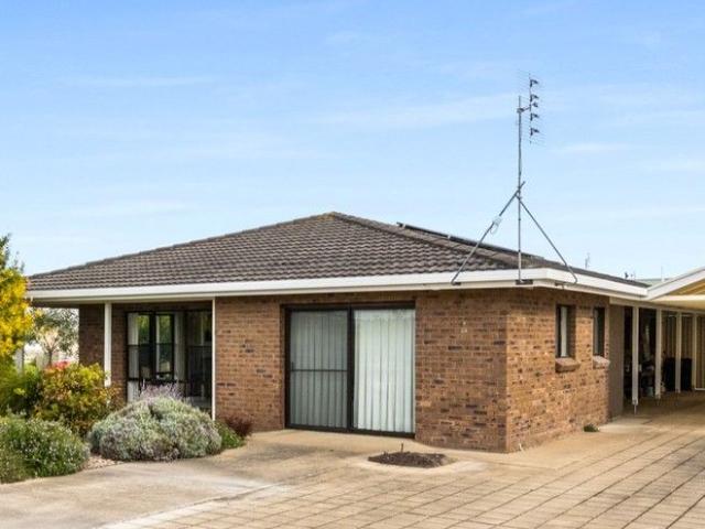 Walk to Everything, Location with High Performing Holiday Potential