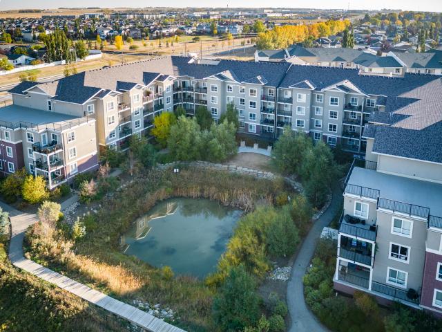 Central 1000 Plan D [object Promise] for Rent
