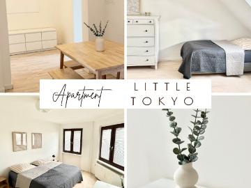Central 4 bedroom apartment in Little Tokyo, Dusseldorf Amsterdam Apartments for Rent