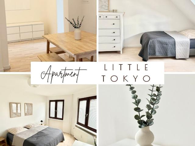 Central 4 bedroom apartment in Little Tokyo