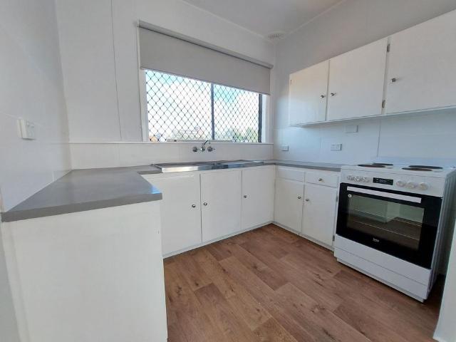 Centrally Located Apartment Water Included!