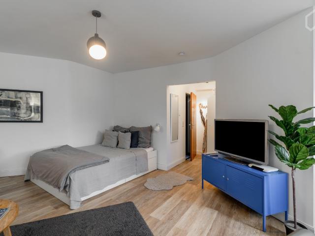 Centrally located in Bilk with top traffic connections * stylishly furnished * new 1 bedroom apartment with kitchen * with cleaning, Dusseldorf Amsterdam Apartments for Rent