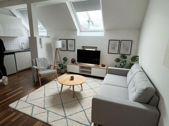 Centrally located & newly renovated apartment within Frankfurt's city center, Frankfurt Amsterdam Apartments for Rent