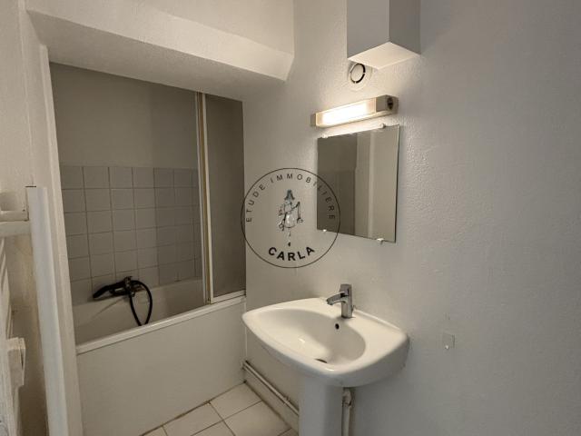 Centre d'Oullins, Charmant appartement T2