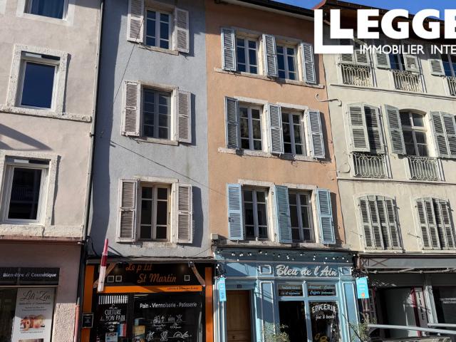 Centre Nantua, grand appartement avec vue, charme ancien et Genève à 45 min