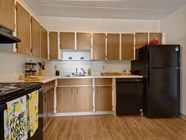 Centre Pointe Plaza 1 Bedroom Apartment for Rent at 2131 Broad St Ofc, Regina, SK S4P 3W4 Core
