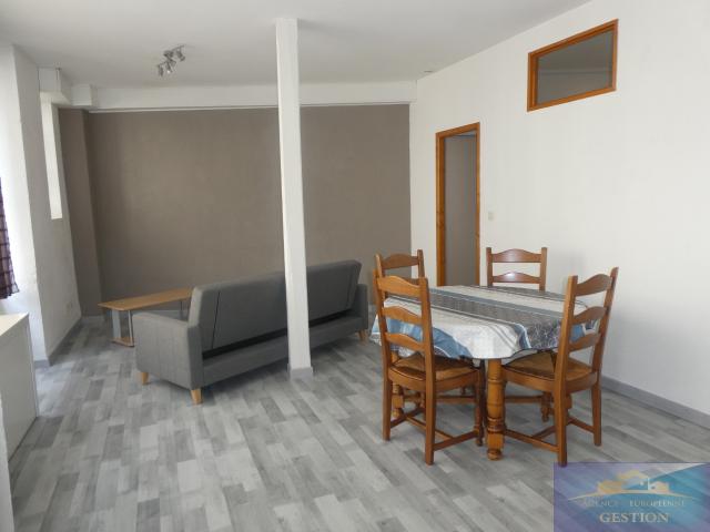 Centre ville appartement T1 meublé de 48,88m² en RDC refait à neuf