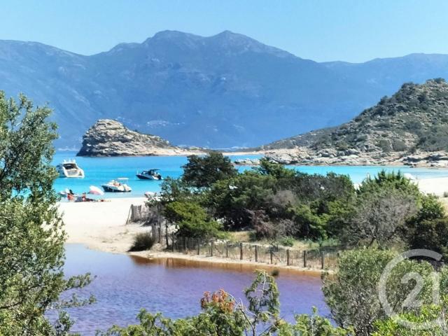 Century 21 Dary Immobilier à Saint Florent vous propose à la. 438m² Saint Florent