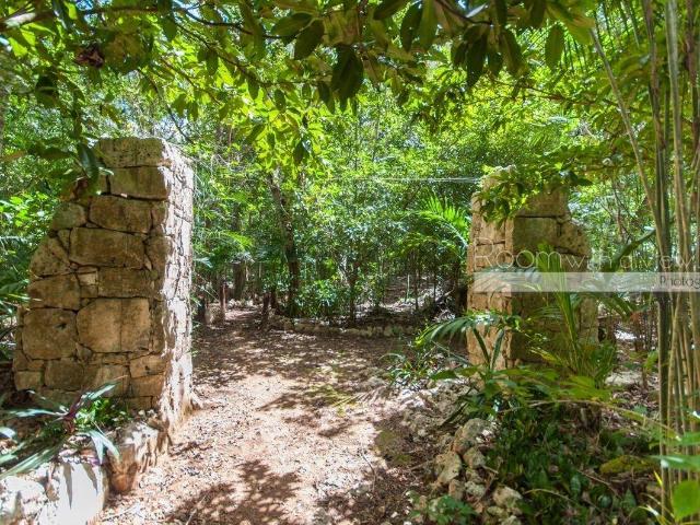 Cenote Lote Pueblo SacBe