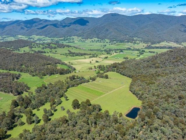 Ceccanti Kiewa Valley Wines Embrace Organic Winemaking in the Heart of Kiewa Valley
