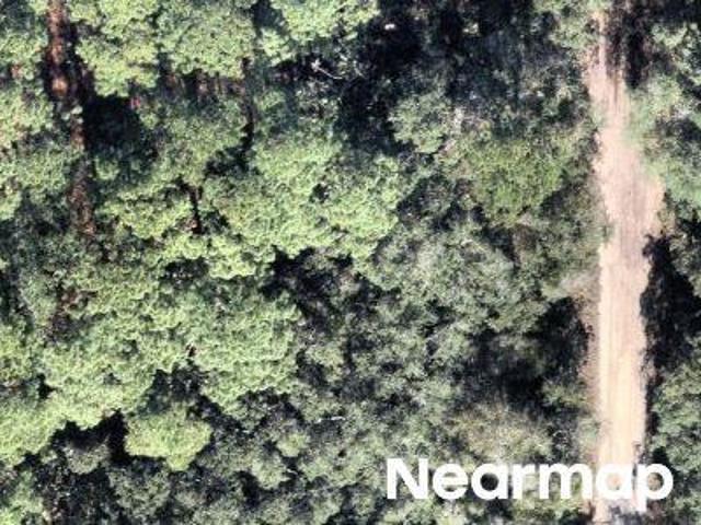 Cedar Point Rd