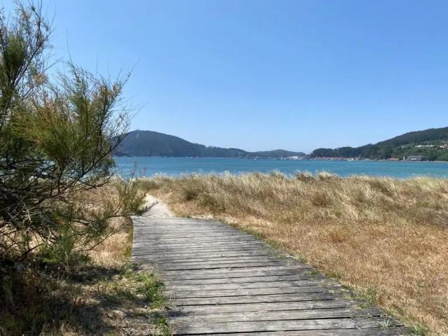Cedeira