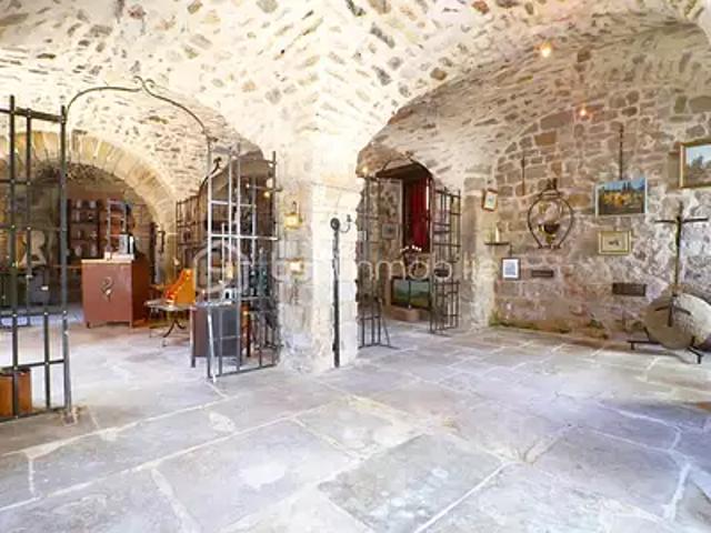 Ceilhes et Rocozels 34260 Achat / Vente maison 15 pièces t15 terrasse cave