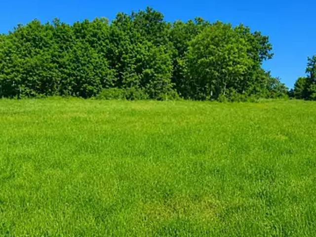 Celles 24600 Programme neuf maison neuf à vendre 3 pièces