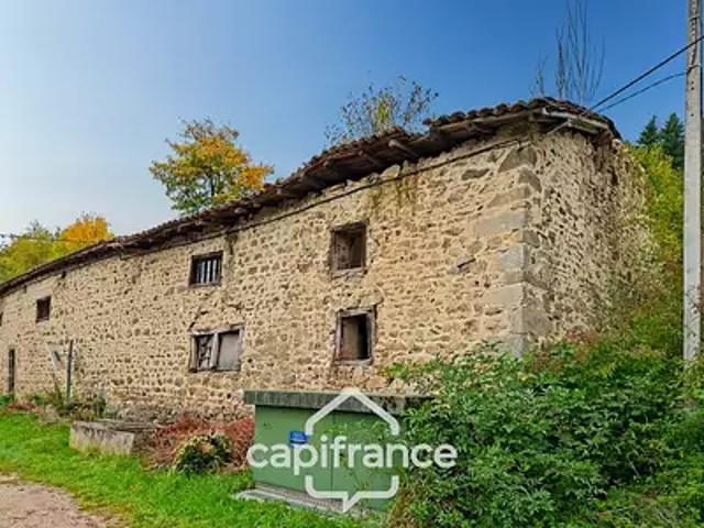 Celles sur Durolle 63250 Achat / Vente maison 1 pièce t1