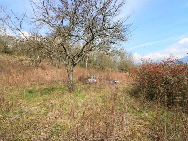 Cellier sur 1 hectare de terrain