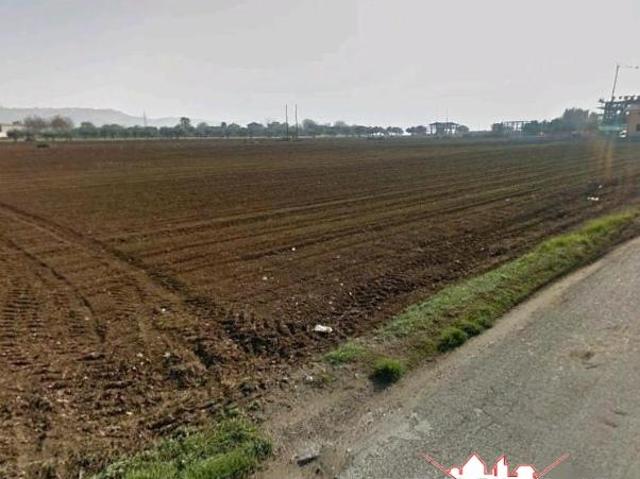 Cepagatti 10000mq